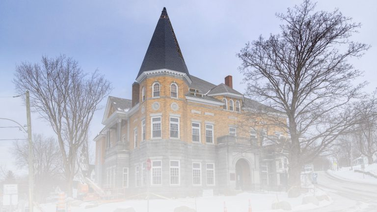 The Only Library Split by a Border Is Now at Risk