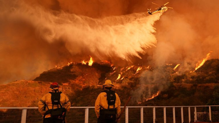 WMO Warns 80% Chance of New Global Heat Records by 2029