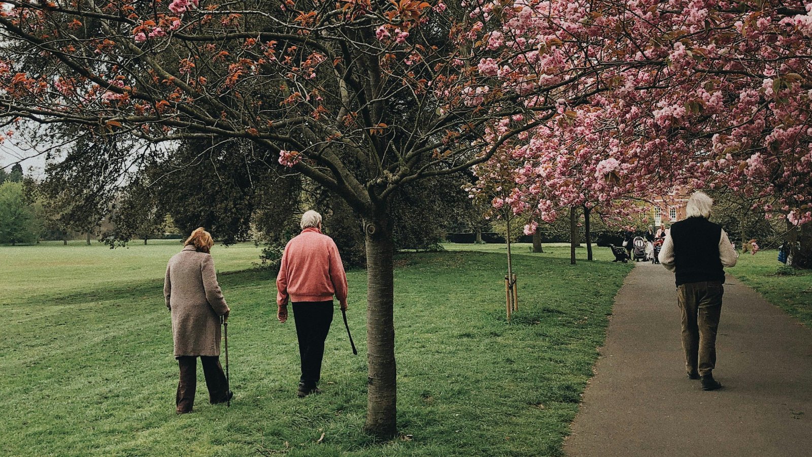 Just 7,000 Steps Can Save Your Life, Study Shows