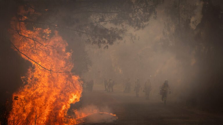 Spain Against Fire