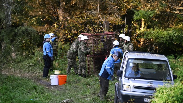 Japan Deploys Troops After Record Bear Attacks