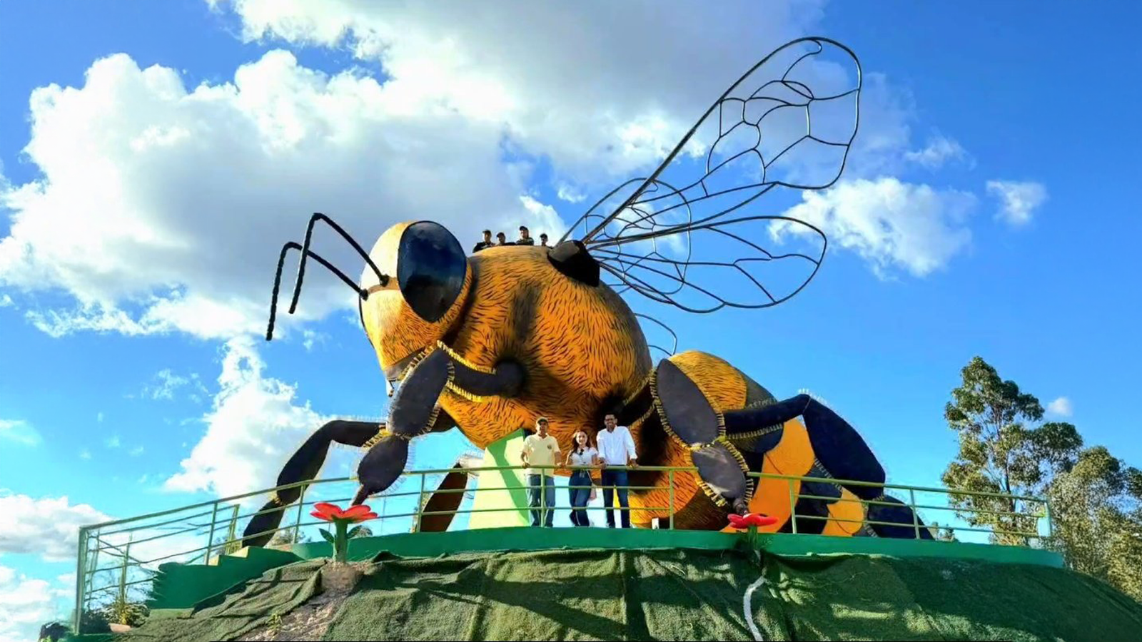 World’s Largest Bee Becomes Monument